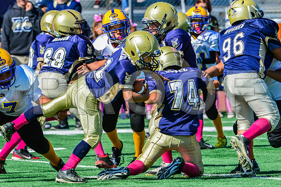 JR PEE WEE Elk Grove Herd-60