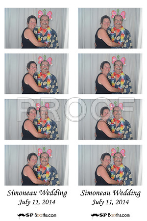 2014-7-11-0042-d