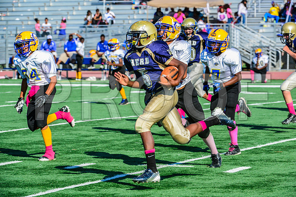 Jr Midgets Elk Grove Herd-51