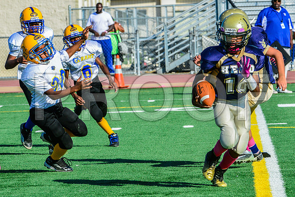 Jr Midgets Elk Grove Herd-86