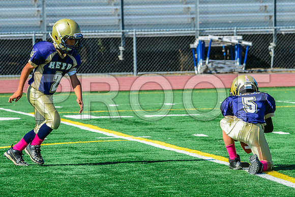 JR PEE WEE Elk Grove Herd-53