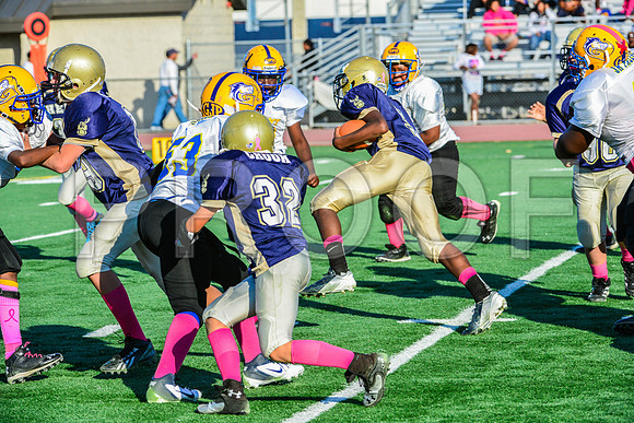 Jr Midgets Elk Grove Herd-180