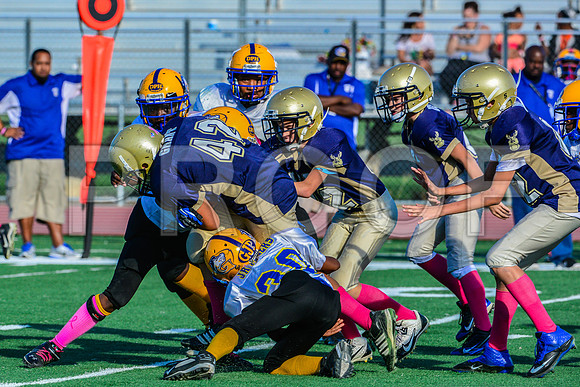 Jr Midgets Elk Grove Herd-131
