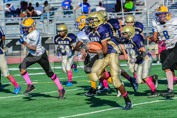 Jr Midgets Elk Grove Herd-169