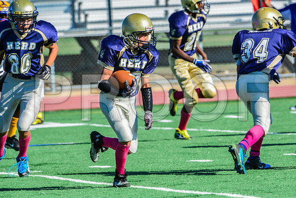 Jr Midgets Elk Grove Herd-35