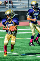 JR PEE WEE Elk Grove Herd-9