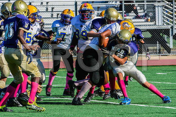 Jr Midgets Elk Grove Herd-43