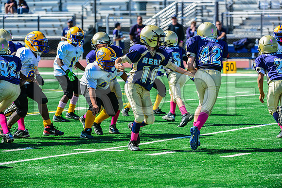 JR PEE WEE Elk Grove Herd-86
