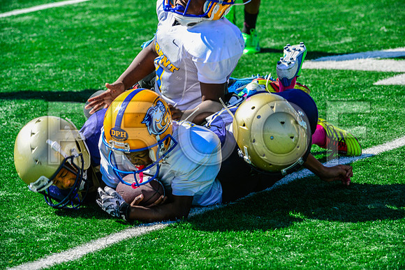 JR PEE WEE Elk Grove Herd-89