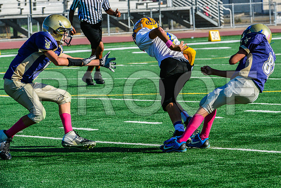 Jr Midgets Elk Grove Herd-112