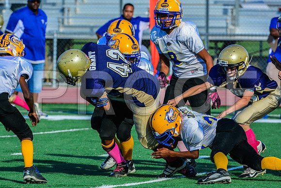 Jr Midgets Elk Grove Herd-132