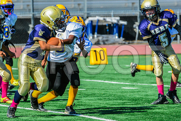 JR PEE WEE Elk Grove Herd-44