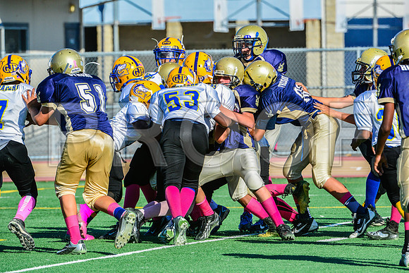 Jr Midgets Elk Grove Herd-85