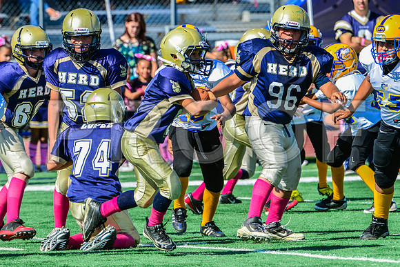 JR PEE WEE Elk Grove Herd-61
