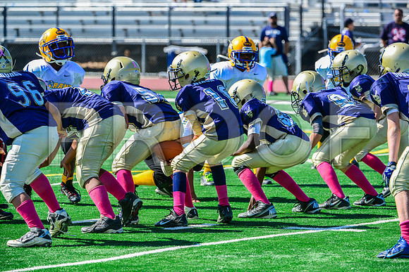 JR PEE WEE Elk Grove Herd-84