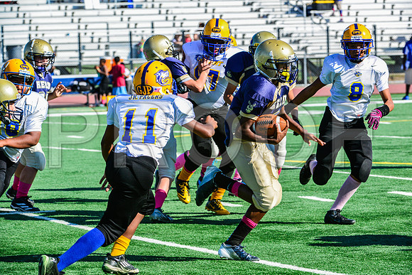 Jr Midgets Elk Grove Herd-29