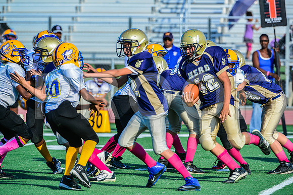 Jr Midgets Elk Grove Herd-130