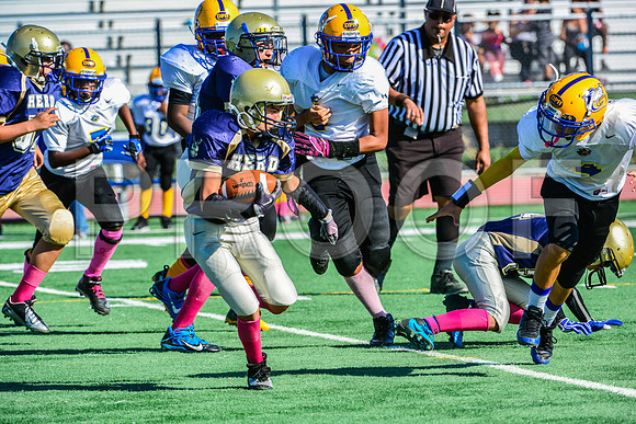 Jr Midgets Elk Grove Herd-33