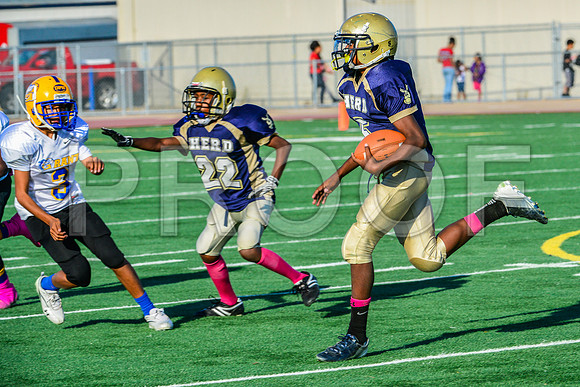 Jr Midgets Elk Grove Herd-171