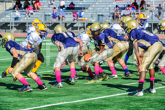 Jr Midgets Elk Grove Herd-53