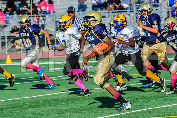 Jr Midgets Elk Grove Herd-170