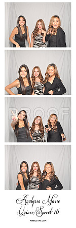 2013-11-15-0008