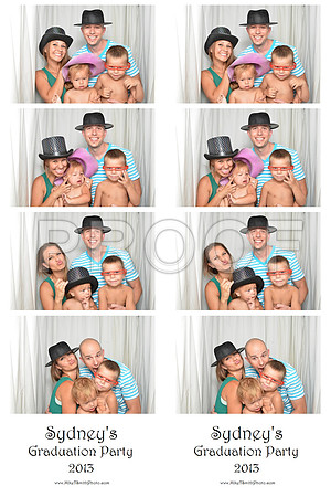 2013-6-1-0011-d