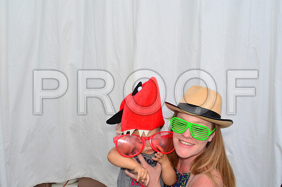 2016-6-11-0031-2