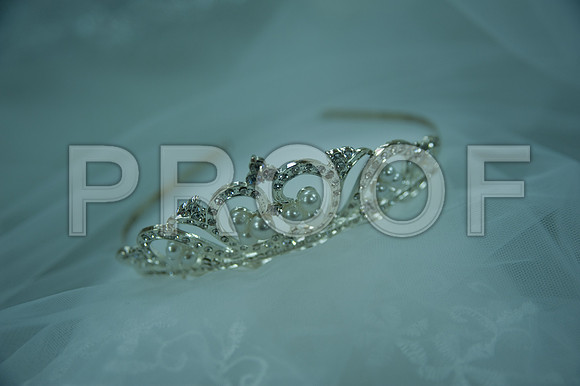 DSC_0486-Proof