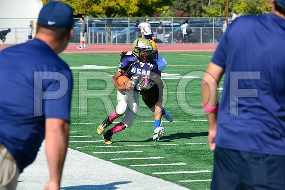 Jr Midgets Elk Grove Herd-2