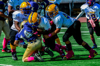 PEE WEE Elk Grove Herd-6
