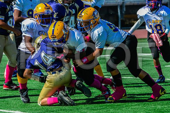 PEE WEE Elk Grove Herd-6