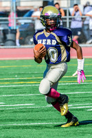 Jr Midgets