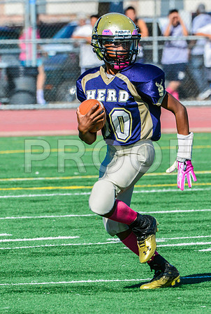 Jr Midgets Elk Grove Herd-1