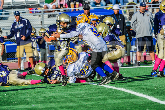 Mighty Mites Elk Grove Herd-3