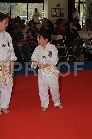 MSP_1569