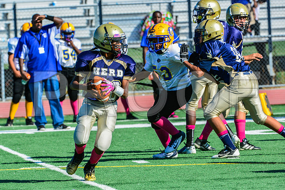 Jr Midgets Elk Grove Herd-17