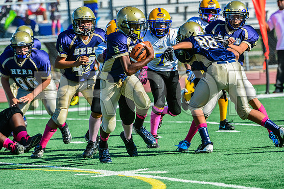 Jr Midgets Elk Grove Herd-6