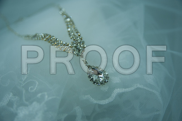 DSC_0489-Proof