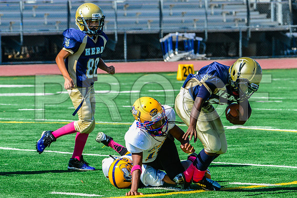PEE WEE Elk Grove Herd-19