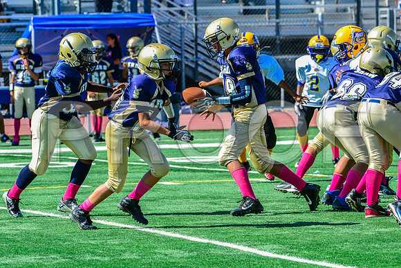 PEE WEE Elk Grove Herd-16