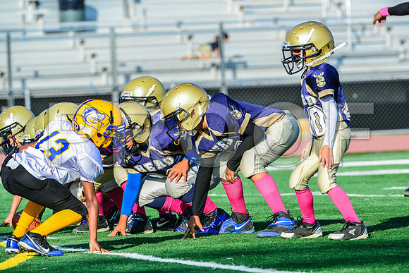 Mighty Mites Elk Grove Herd-31