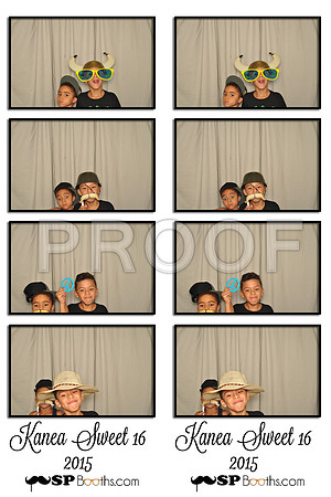 2015-7-19-0019-d