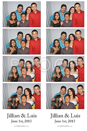 2013-6-1-0015-d