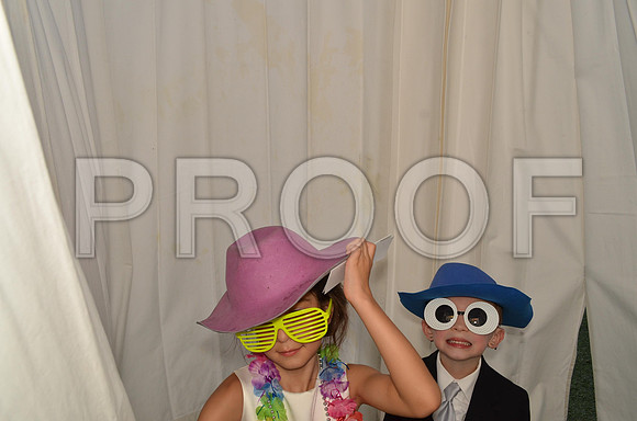 2013-7-19-0028-4
