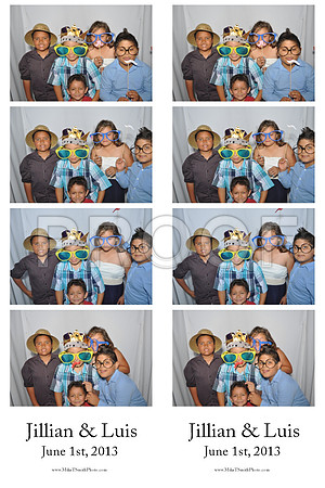 2013-6-1-0016-d