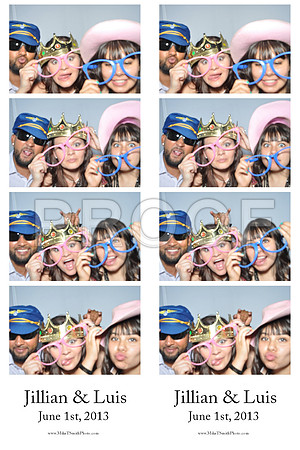 2013-6-1-0009-d