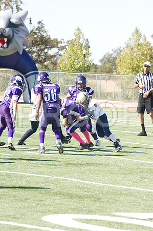 DSC_3765-Proof