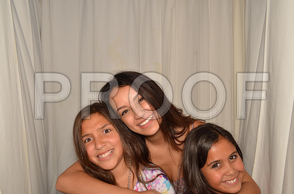 2013-7-19-0035-4