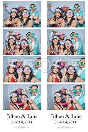 2013-6-1-0014-d